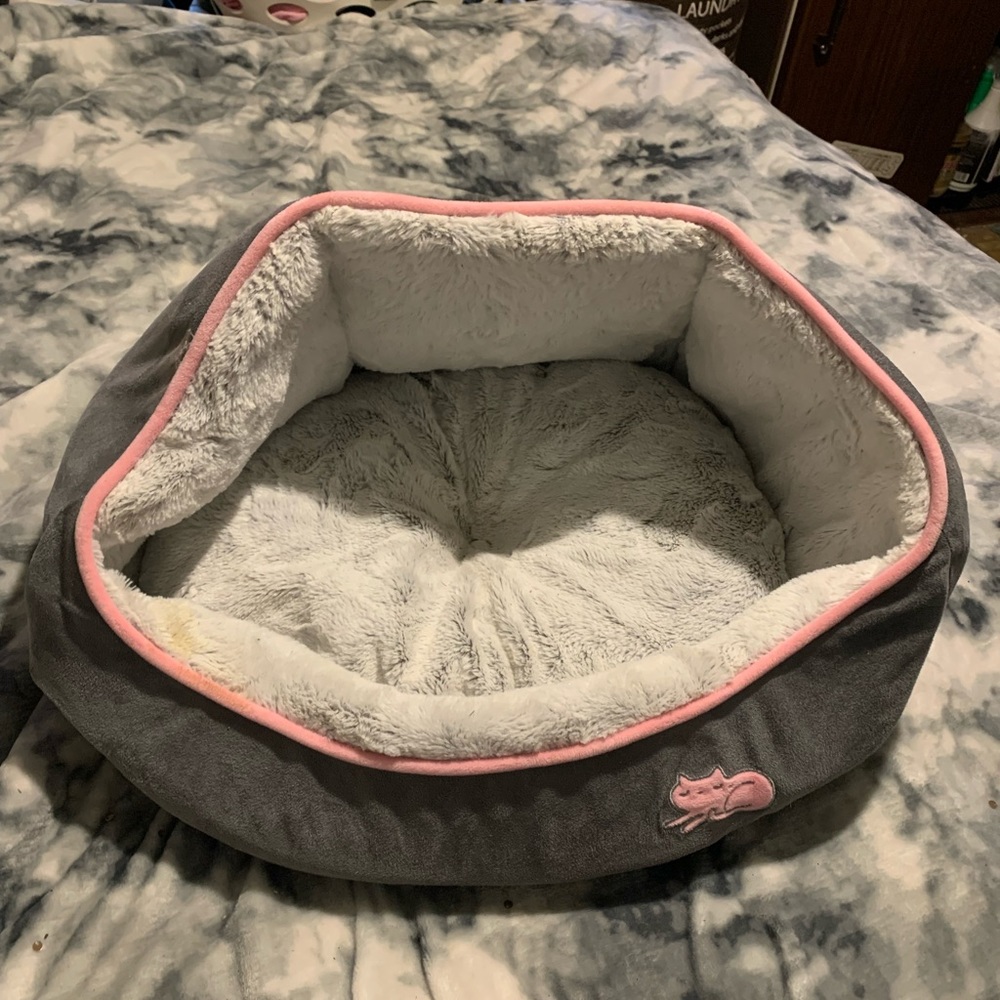 Cat bed